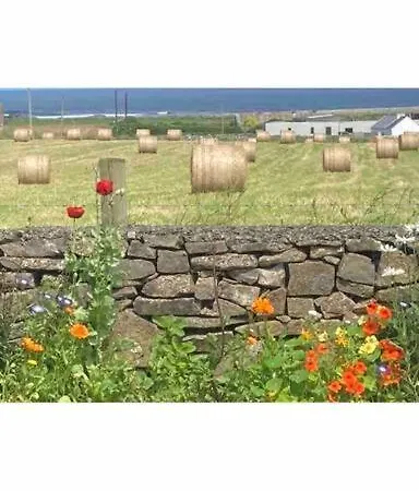 Nyaraló Rathlee Atlantic View House *